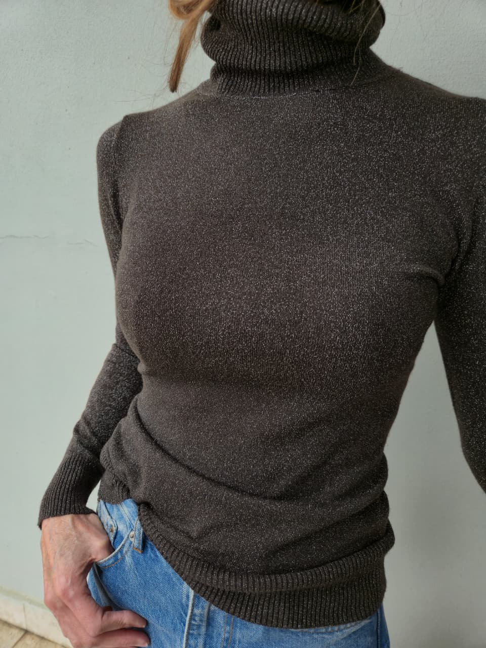 Chocolate poloneck with silver thread detail.